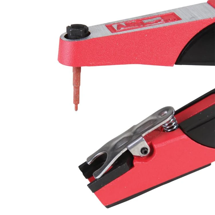 Allflex Oormerktang 4 Allflex Oormerktang - Afbeelding 2