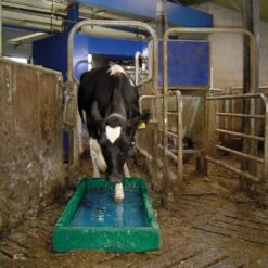 Voetbad Rundvee Polyester, Per M² -Easyfix Winkel 0609357 Doorloopbad 31 1606 750x750 1465960316467