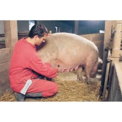 Rheintechnik Drachtigheidsscanner -Easyfix Winkel 1609990 fotodtp 4 750x750 1654776509697