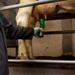 MS Schuimbeker -Easyfix Winkel 28098XX Dipmiddel 30 1605 750x750 1667405328820