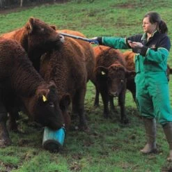 Shearwell SDL440 Oormerklezer -Easyfix Winkel Application20shot2 N0050BBMM02 X X 0401319 750x750 1580911347290