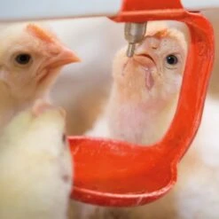 Goliath Zelfremmende Handlier, 450 Kg 8 Goliath Zelfremmende Handlier, 450 Kg -Easyfix Winkel Application20shot2 N0050BBMM02 X X 100800020.201008017 750x750 1559633189797 3