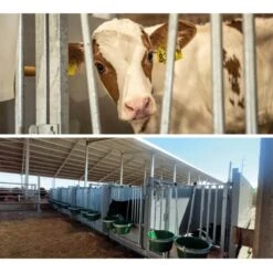 Eenlingbox Premium XL Mono -Easyfix Winkel Application20shot2 N0050BBMM02 X X 1509707 750x750 1669196353233