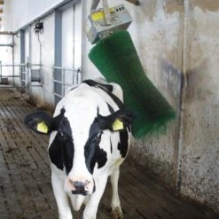 Agricow Koeborstel Roterend -Easyfix Winkel Application20shot2 N0050BBMM02 X X 1909940 750x750 1559633189797