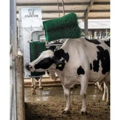 Agricow Koeborstel Roterend, Dubbel -Easyfix Winkel Application20shot2 N0050BBMM02 X X 1909944 750x750 1649422672847