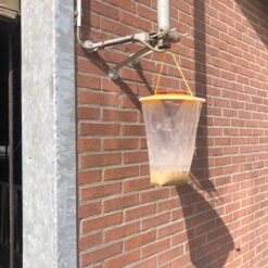 Vliegen- En Wespenval -Easyfix Winkel Application20shot2 N0050BBMM02 X X 2309852 750x750 1653902520963