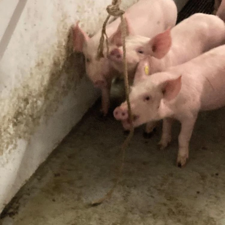 Jute Touw 10 Mm, 200 Meter 6 Jute Touw 10 Mm, 200 Meter - Afbeelding 4