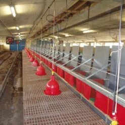 Opfokpapier 90 Gr/m² Bruin, 0.6 X 50 M -Easyfix Winkel Application20shot3 N0050BBMM02 X X 3405778203405779203405780203405781203405782203405783 750x750 1576072634587