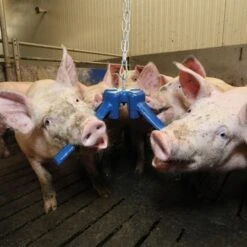 Easyfix Speelmateriaal Astro 200, Blauw -Easyfix Winkel Application20shot3 N0050BBMM02 X X 3409715 750x750 1559633189797