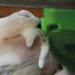 Kalverdrinkbak ECF6 Met Deksel -Easyfix Winkel Application20shot4 N0050BBMM02 X X 1508100 750x750 1644398509840