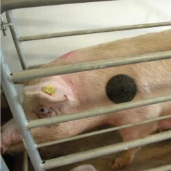 MS Schouder Bescherming, P/10 15 MS Schouder Bescherming, P/10 -Easyfix Winkel Application20shot4 N0050BBMM02 X X 3402083203401303 750x750 1685959213847