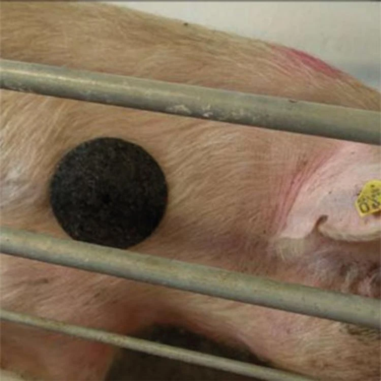 MS Schouder Bescherming, P/10 9 MS Schouder Bescherming, P/10 - Afbeelding 7