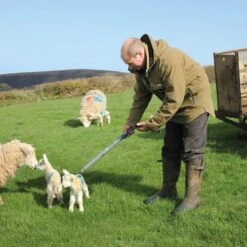 Shearwell SDL440 Oormerklezer -Easyfix Winkel Application20shot N0050BBMM02 X X 0401319 750x750 1580911347400