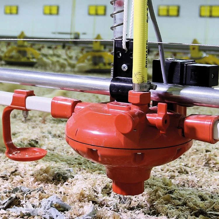 Nylonkoord 4 Mm, P/250 M 6 Nylonkoord 4 Mm, P/250 M - Afbeelding 4