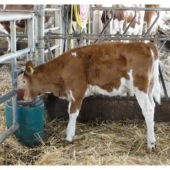 Suevia Drinkbak 43A Verwarmbaar, 80W -Easyfix Winkel Application20shot N0050BBMM02 X X 1507603 750x750 1559633189797