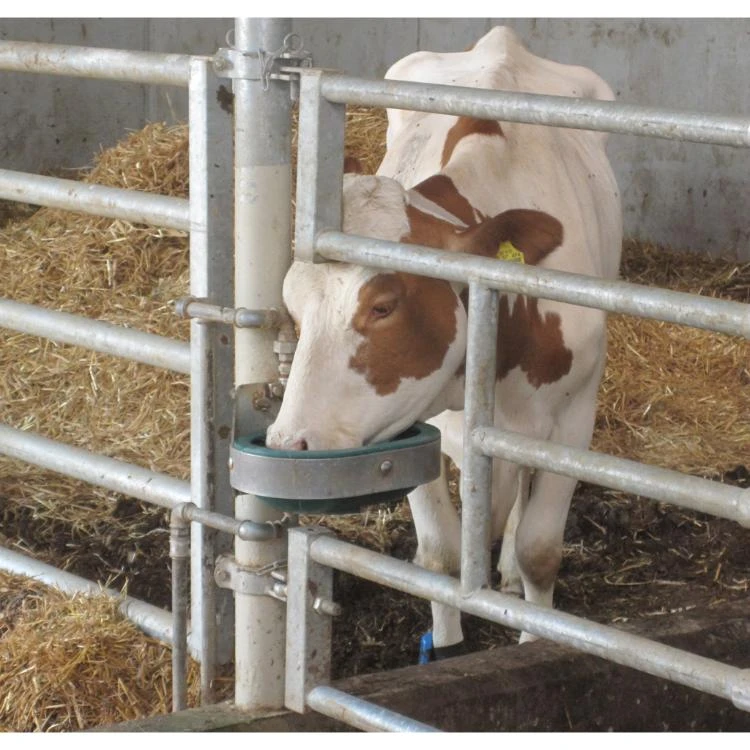 Suevia Drinkbak 18P, 3/4" Inox 6 Suevia Drinkbak 18P, 3/4" Inox - Afbeelding 4