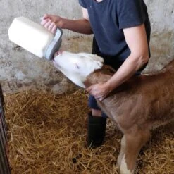 Drinkfles Kalveren 1-click, 3 L -Easyfix Winkel Application20shot N0050BBMM02 X X 1508204 750x750 1637745043173