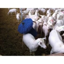 Montagestang Tbv Suevia Twister -Easyfix Winkel Application20shot N0050BBMM02 X X 1903556208803956208803957 750x750 1633697586703