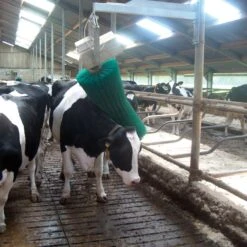 Agricow Koeborstel Roterend -Easyfix Winkel Application20shot N0050BBMM02 X X 1909940 750x750 1559633189797