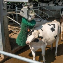 Agricow Koeborstel Roterend -Easyfix Winkel Application20shot N0050BBMM02 X X 1909942 750x750 1559633189797