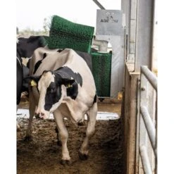 Agricow Koeborstel Roterend, Dubbel -Easyfix Winkel Application20shot N0050BBMM02 X X 1909944 750x750 1649422672957