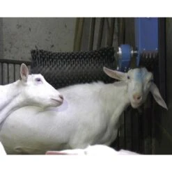 Comfy Geitenborstel Roterend Cosy-Goat + Wegdraaisysteem -Easyfix Winkel Application20shot N0050BBMM02 X X 1909948 750x750 1579255201020