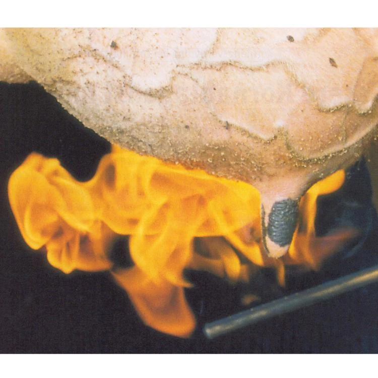 MS Uierbrander 3 MS Uierbrander - Afbeelding 2