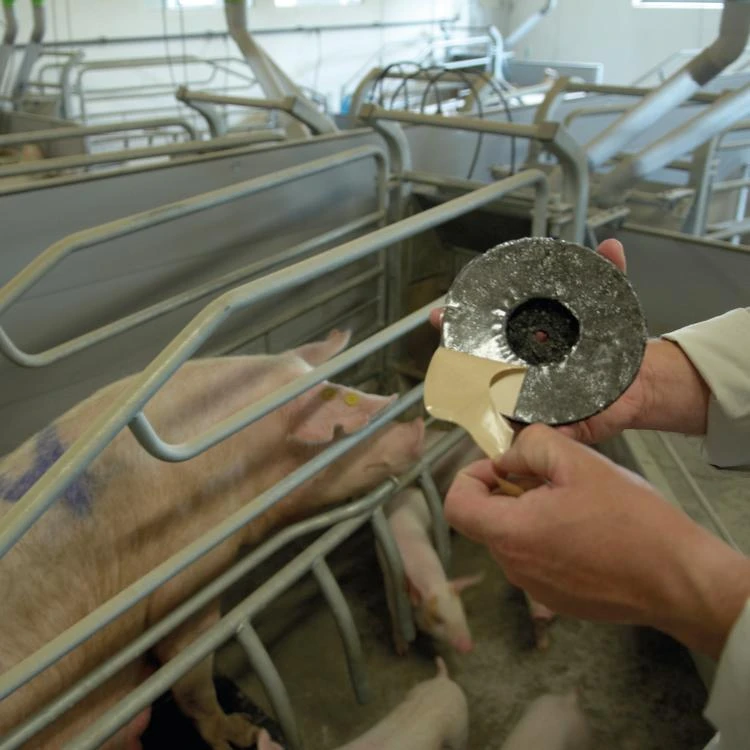 MS Schouder Bescherming, P/10 10 MS Schouder Bescherming, P/10 - Afbeelding 8