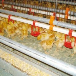 Opfokpapier 90 Gr/m² Bruin, 0.6 X 50 M -Easyfix Winkel Application20shot N0050BBMM02 X X 3405778203405779203405780203405781203405782203405783 750x750 1576072634667