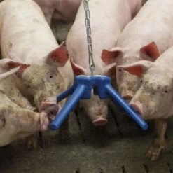 Easyfix Speelmateriaal Astro 200, Blauw -Easyfix Winkel Application20shot N0050BBMM02 X X 3409715 750x750 1656412719960