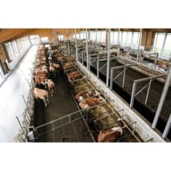 IP Camera 360° HD/RC Met Optische Zoom -Easyfix Winkel Application20shot N0050BBMM02 X X 4710024 750x750 1578927600877