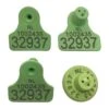 MS Tag Midi FDX Set Groen 2+1+1 (p/50, P/100, P/250, P/500, P/1000) -Easyfix Winkel Main20product20shot N0010BBMM02 X X 0401315 750x750 1582737109483
