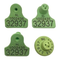 MS Tag Midi FDX Set Groen 2+1+1 (p/50, P/100, P/250, P/500, P/1000)