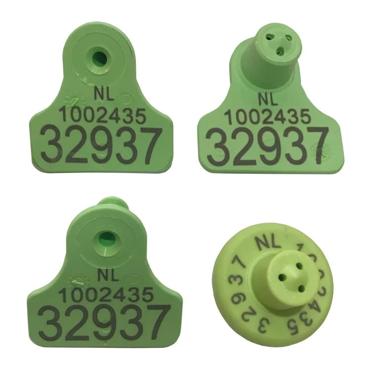 MS Tag Midi FDX Set Groen 2+1+1 (p/50, P/100, P/250, P/500, P/1000) 3 MS Tag Midi FDX Set Groen 2+1+1 (p/50, P/100, P/250, P/500, P/1000)