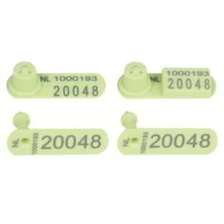 MS Schiptag FDX Set Groen 2+1+1 (p/50, P/100, P/250, P/500, P/1000)