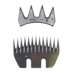 Heiniger Schapenscheermessen, 4/13-tands