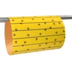 FlyMaster Vliegenval, P/6