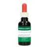 MS Morpho-Check Kleurstof, 30 Ml -Easyfix Winkel Main20product20shot N0010BBMM02 X X 4506685 750x750 1649422671973