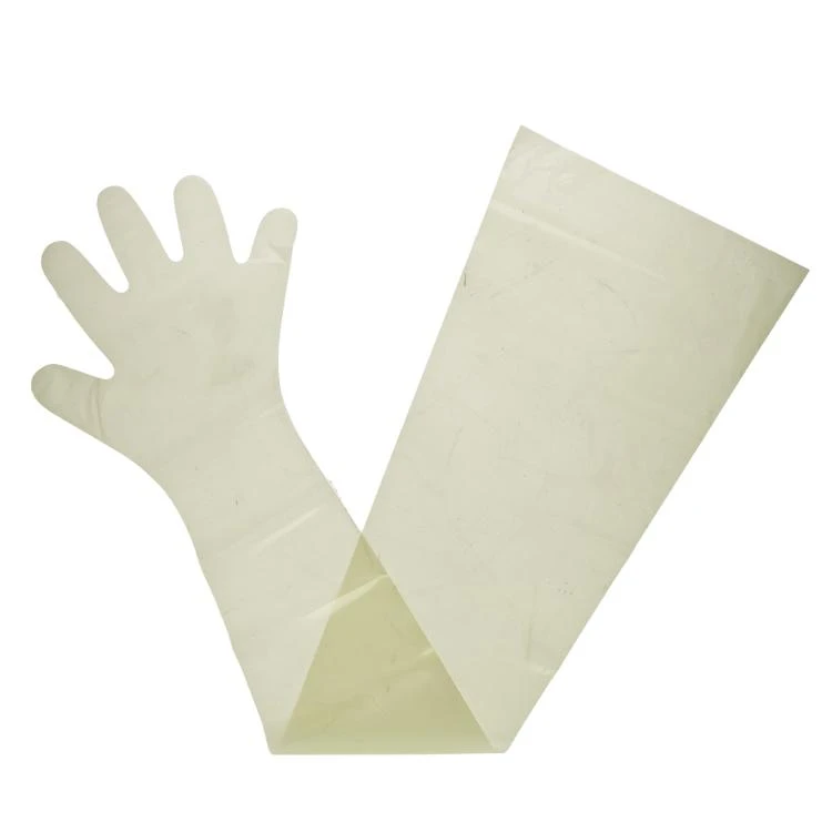 Inseminatie Handschoen Dames, P/100 3 Inseminatie Handschoen Dames, P/100