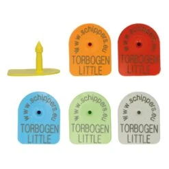 MS Tag Torbogen Little Oormerk Mannelijk Bedrukt Op Kaart, P/100