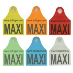 MS Tag Maxi Standard Vrouwelijk Dicht Bedrukt, P/100