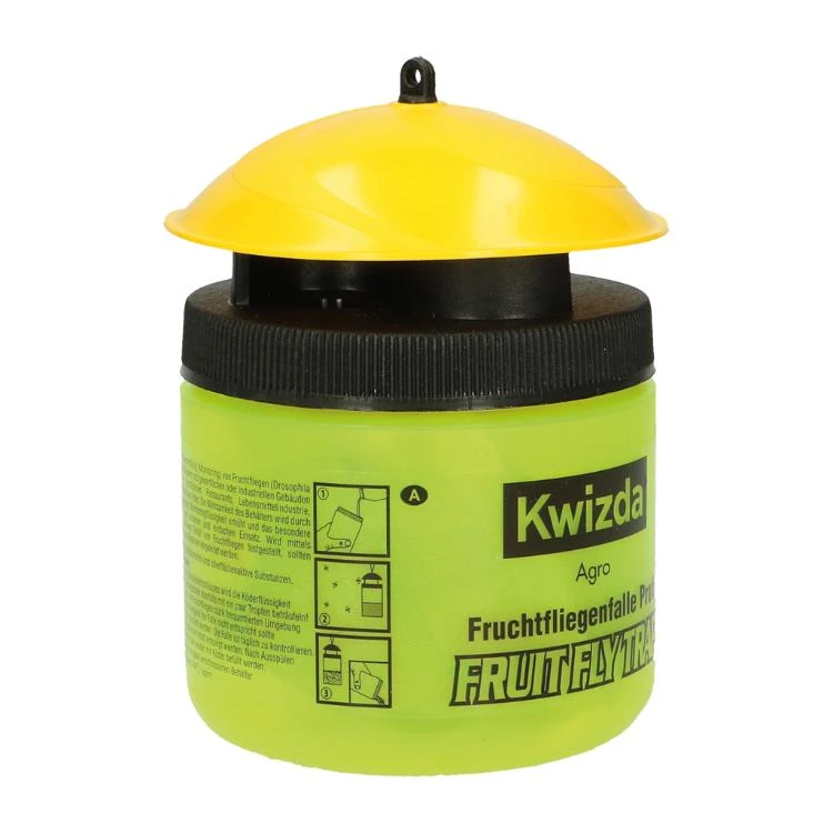 Fruitvliegjesval, Groot 5 Fruitvliegjesval, Groot - Afbeelding 3