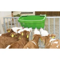 Kalverdrinkbak Multi Feeder -Easyfix Winkel Various20shots4 N0120BBMM02 X X 1502444 750x750 1559633189797