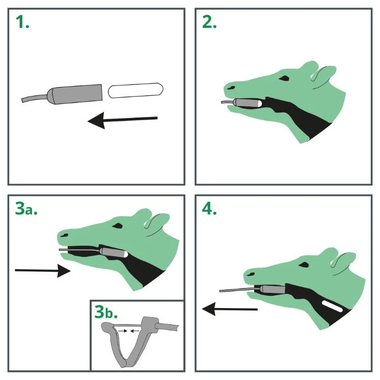Bovikalc Bolusschieter 7 Bovikalc Bolusschieter - Afbeelding 5