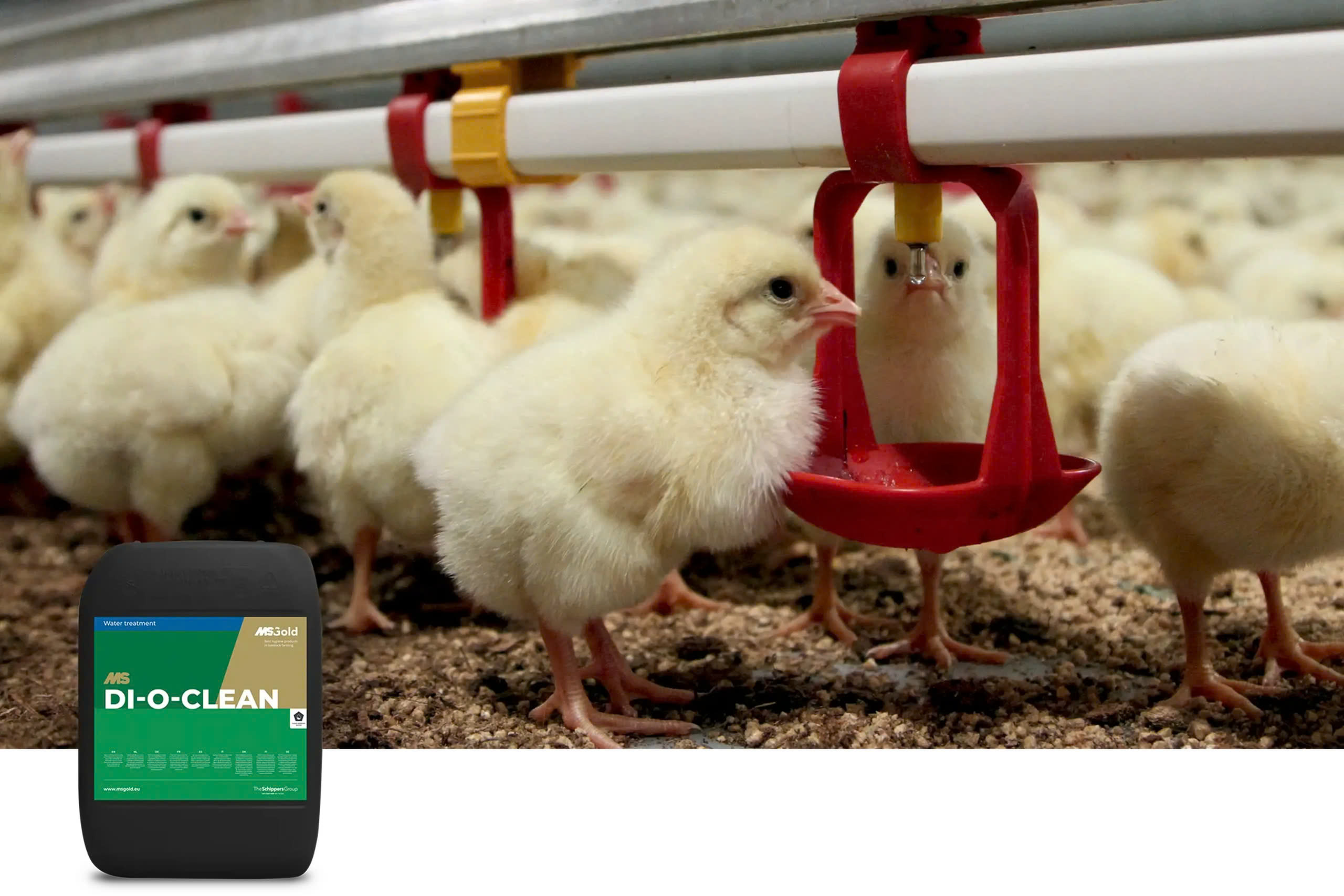 Easyfix Winkel 2 Easyfix Winkel -Easyfix Winkel z6414918240965 e3695423c226af0d87660e82c417752e