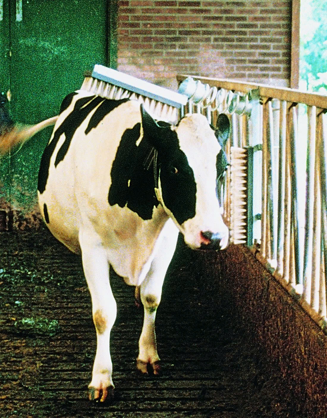 Easyfix Winkel 46 Easyfix Winkel -Easyfix Winkel z6415105708502 a7fca9904625405b6c1b83fdd667b811