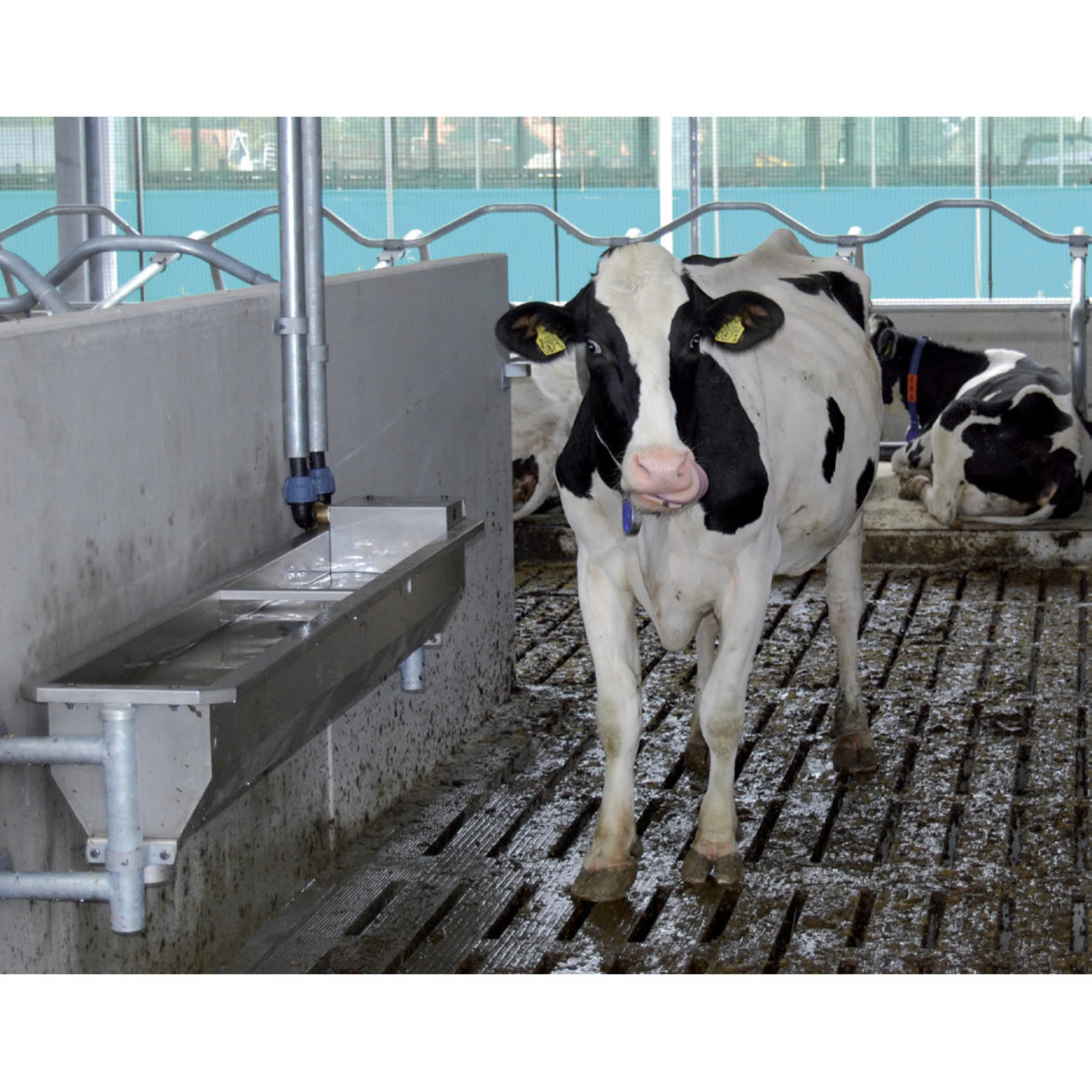 Easyfix Winkel 41 Easyfix Winkel -Easyfix Winkel z6415117297655 79df051c20110cc9b6774bbb4e088796